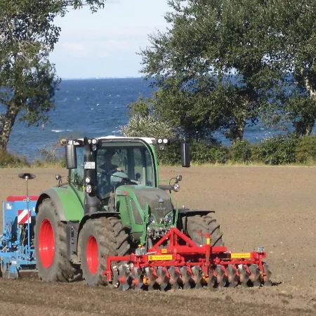 Ferienhaus Ferienbauernhof Liesenberg Meerblickhaus Stranddüne Nr 2 Fehmarn