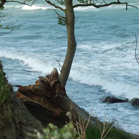 Ferienbauernhof Liesenberg Meerblickhaus Strandduene Nr 2 Fehmarn