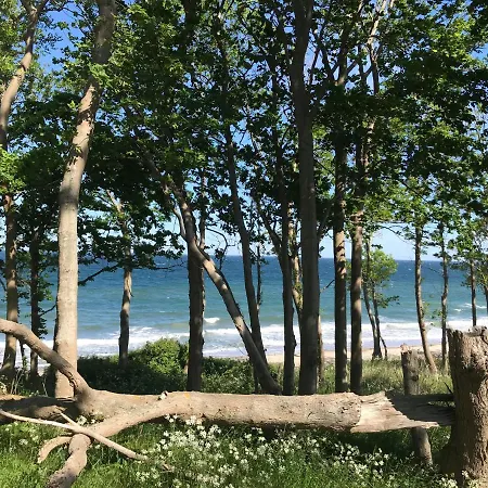Ferienbauernhof Liesenberg Meerblickhaus Stranddüne Nr 2 Ferienhaus *