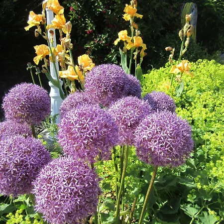 Ferienbauernhof Liesenberg Meerblickhaus Stranddüne Nr 2 * Fehmarn