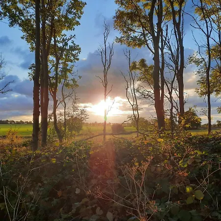 Ferienbauernhof Liesenberg Meerblickhaus Stranddüne Nr 2 Ferienhaus *