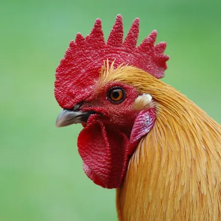Prázdninový dům Ferienbauernhof Liesenberg Meerblickhaus Strandduene Nr 2