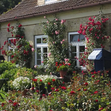 Prázdninový dům Ferienbauernhof Liesenberg Meerblickhaus Strandduene Nr 2 Fehmarn