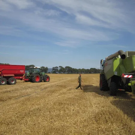 Ferienhaus Ferienbauernhof Liesenberg Meerblickhaus Stranddüne Nr 2