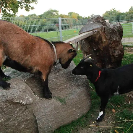 Ferienbauernhof Liesenberg Meerblickhaus Stranddüne Nr 2 Fehmarn