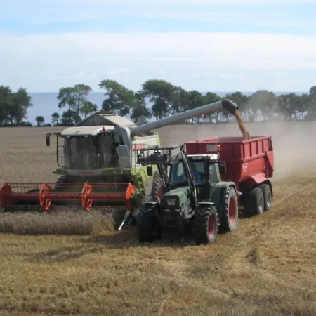 Ferienhaus Ferienbauernhof Liesenberg Meerblickhaus Stranddüne Nr 2 Fehmarn