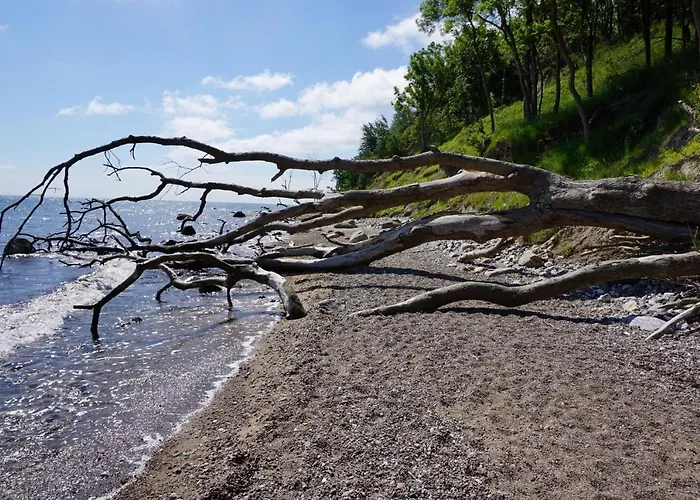 Hébergement de vacances Ferienbauernhof Liesenberg Meerblickhaus Strandduene Nr 2 *