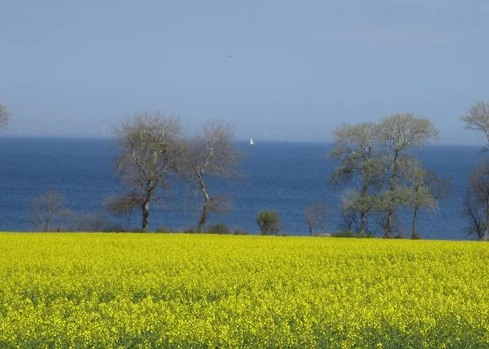 Ferienbauernhof Liesenberg Meerblickhaus Strandduene Nr 2 Hébergement de vacances Fehmarn