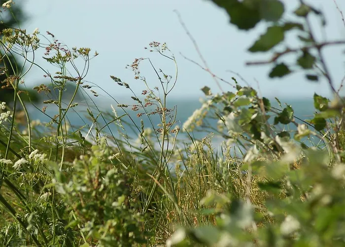 Ferienbauernhof Liesenberg Meerblickhaus Strandduene Nr 2 Hébergement de vacances