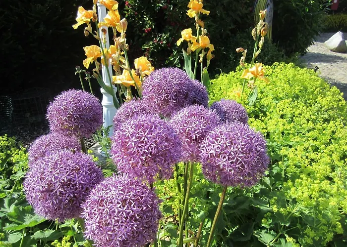 Ferienbauernhof Liesenberg Meerblickhaus Strandduene Nr 2 * Fehmarn