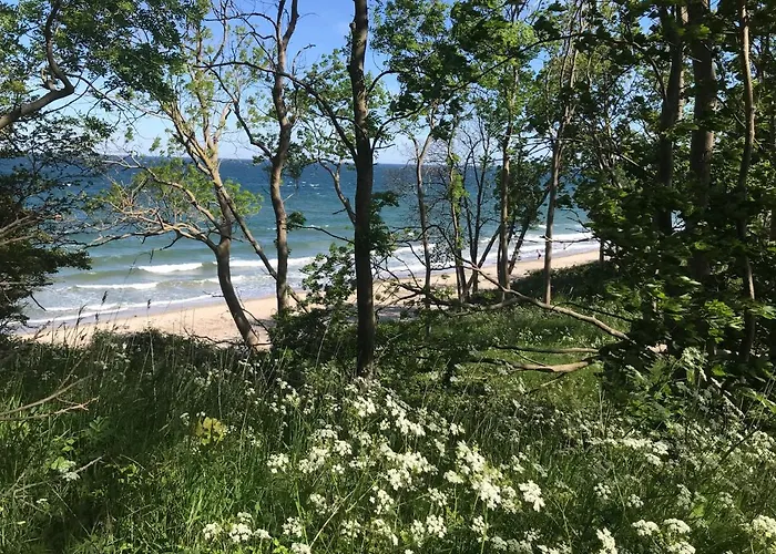 Hébergement de vacances Ferienbauernhof Liesenberg Meerblickhaus Strandduene Nr 2