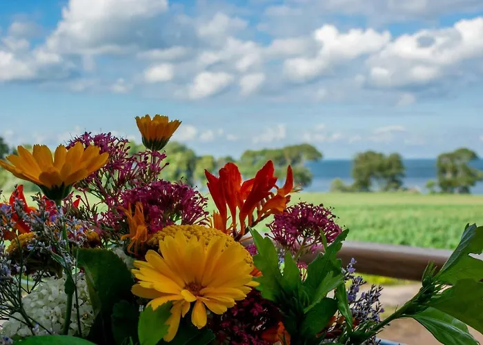 Hébergement de vacances Ferienbauernhof Liesenberg Meerblickhaus Strandduene Nr 2