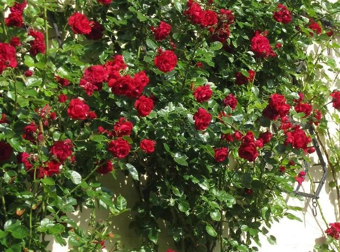 Hébergement de vacances Ferienbauernhof Liesenberg Meerblickhaus Strandduene Nr 2 *