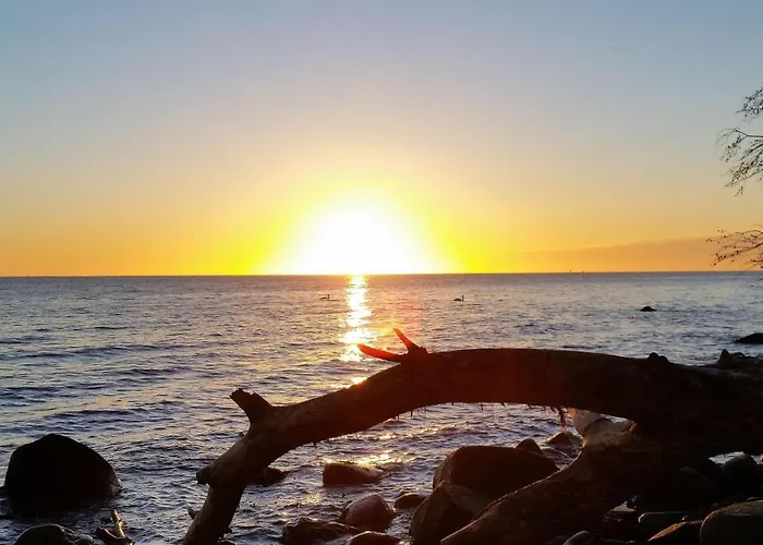 Hébergement de vacances Ferienbauernhof Liesenberg Meerblickhaus Strandduene Nr 2 Fehmarn