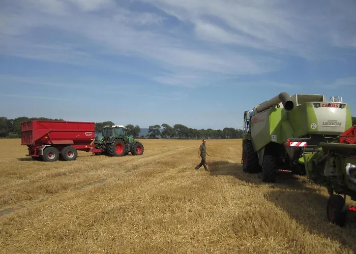 Hébergement de vacances Ferienbauernhof Liesenberg Meerblickhaus Strandduene Nr 2