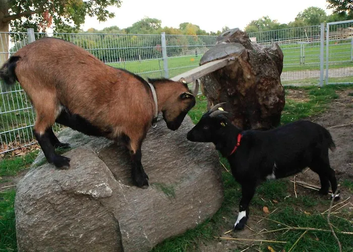 Ferienbauernhof Liesenberg Meerblickhaus Strandduene Nr 2 Fehmarn