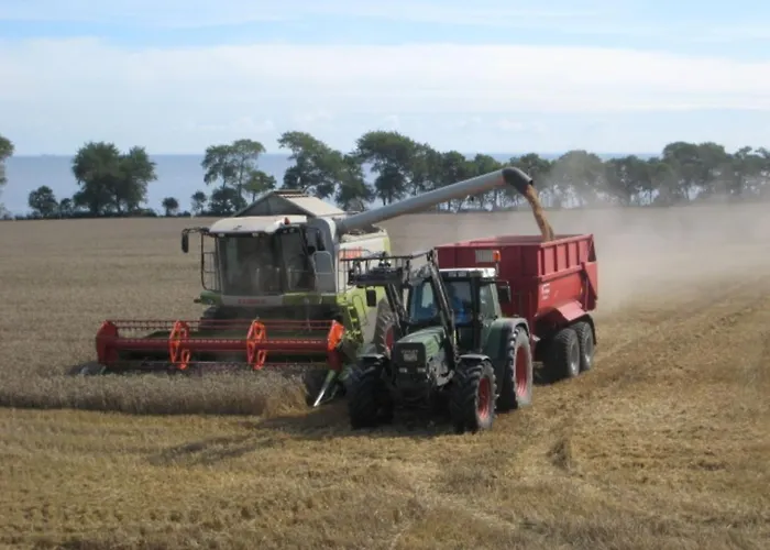 Hébergement de vacances Ferienbauernhof Liesenberg Meerblickhaus Strandduene Nr 2 Fehmarn